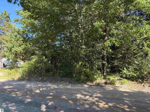 Land for sale in Lupton, Michigan