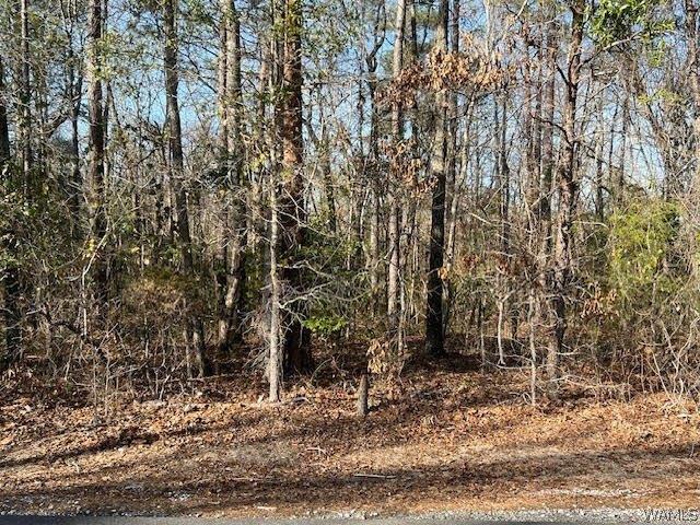 Land for sale in Alberta, Alabama