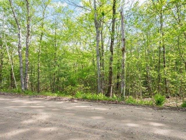 Land for sale in Ashby, Massachusetts