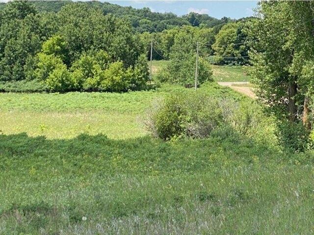 Land for sale in Minnesota