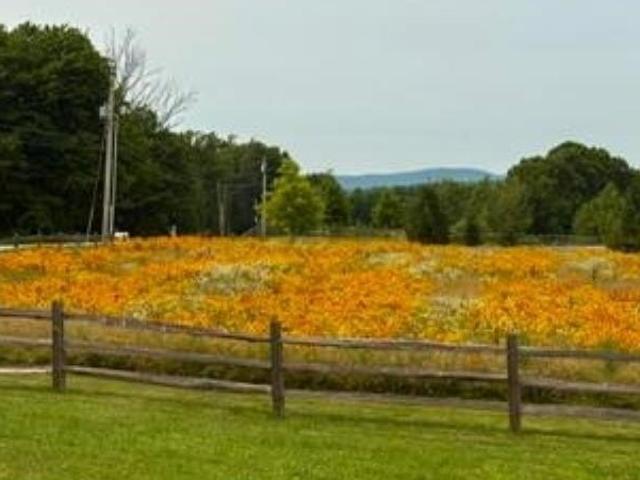 Land for sale in New Hampshire