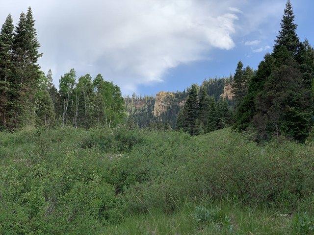 Land for sale in Iron, Utah