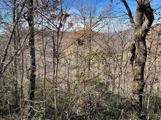 Land for sale in Hayesville
