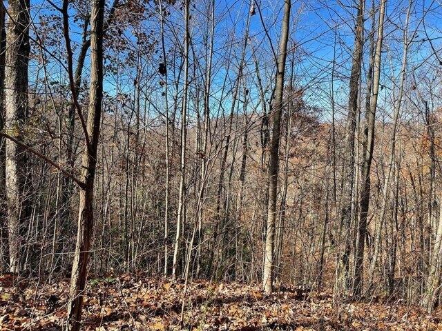 Land for sale in Hayesville