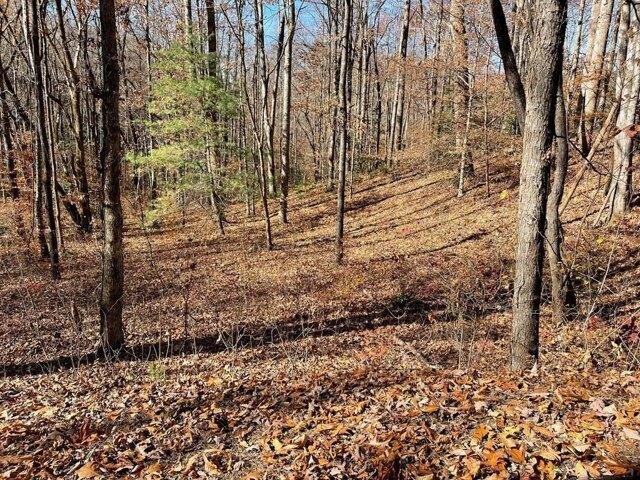 Land for sale in Hayesville