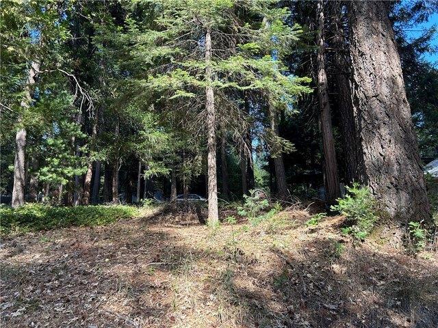 Land for sale in Butte, California