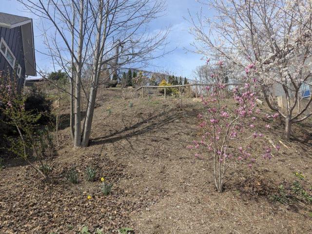 Land for sale in Asheville, North Carolina