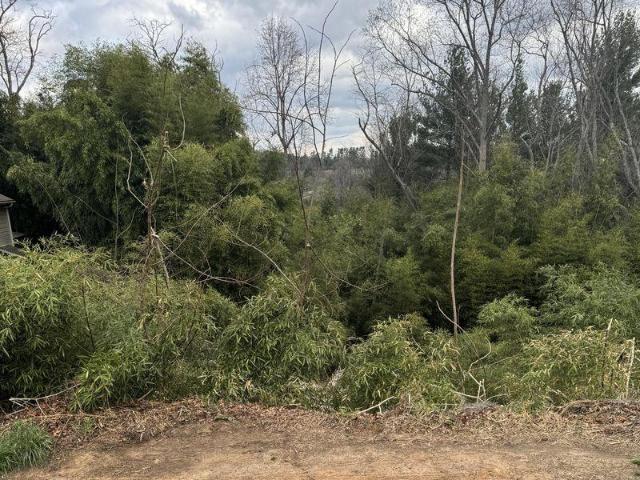 Land for sale in Asheville, North Carolina
