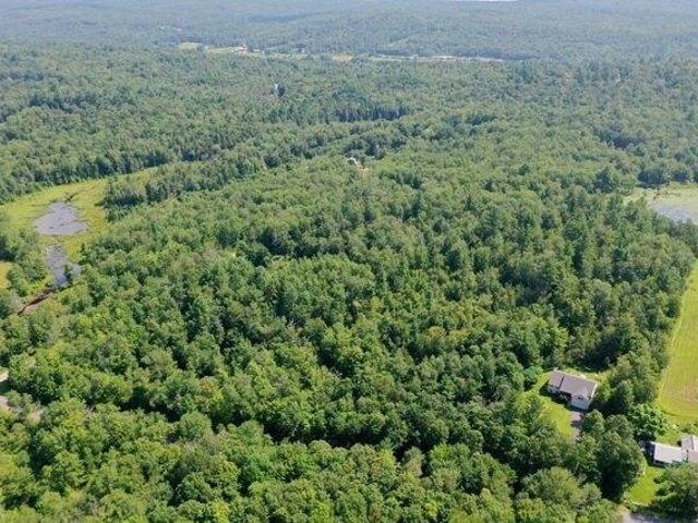 Land for sale in Ashfield, Massachusetts