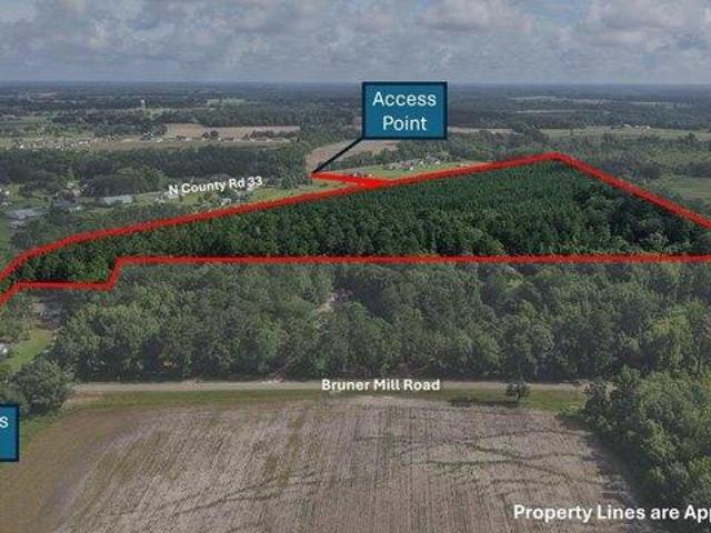 Land for sale in Ashford, Alabama