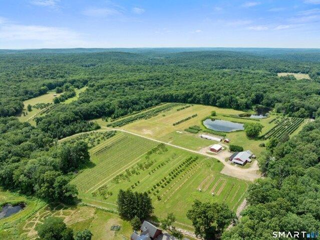 Land for sale in Ashford, Connecticut