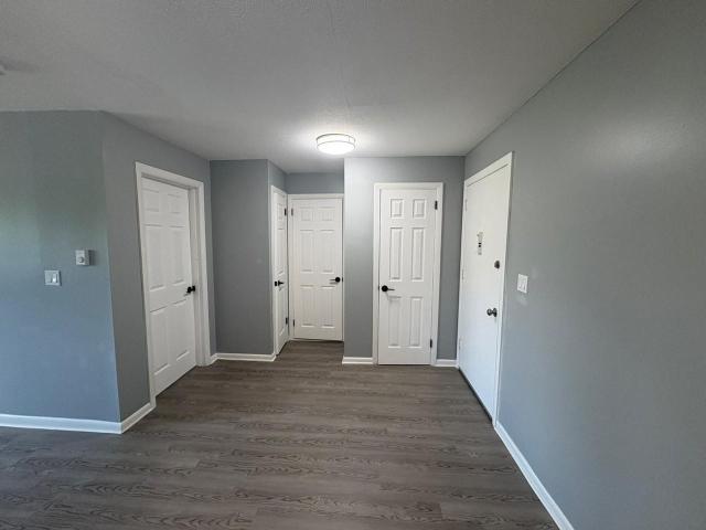 Apartment for rent in Ashford, Connecticut