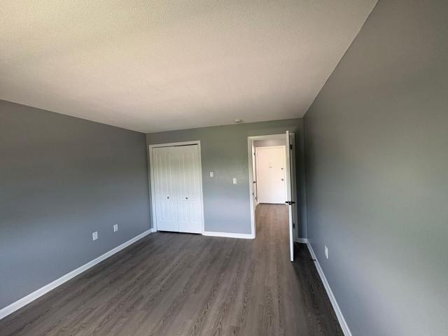 Apartment for rent in Ashford, Connecticut