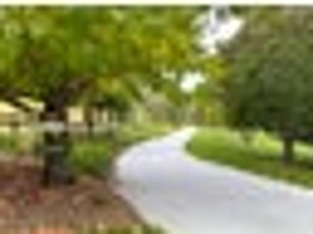 Land for sale in Awhitu