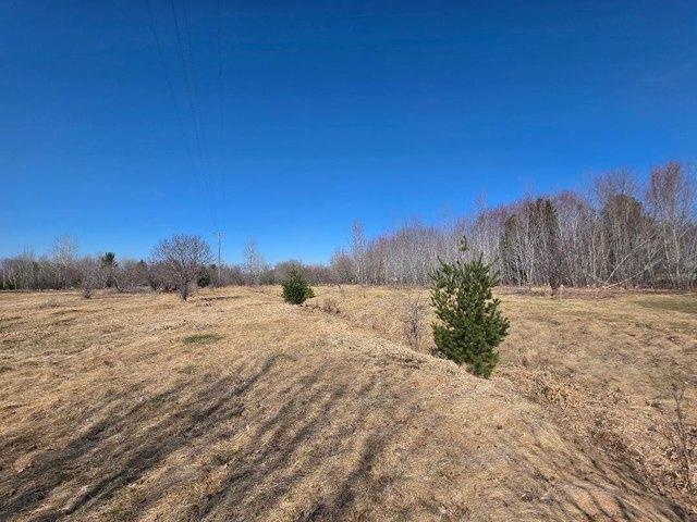 Land for sale in Almena, Wisconsin