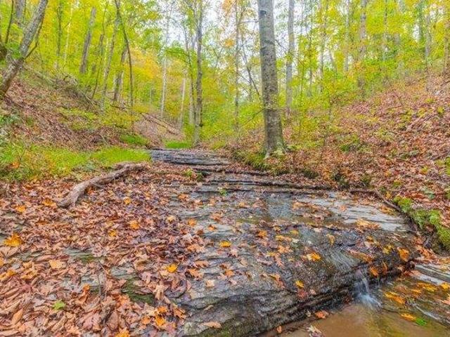 Land for sale in Tennessee