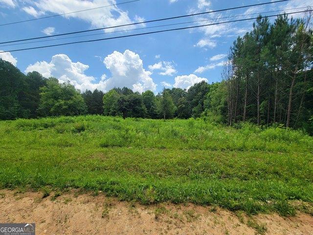 Land for sale in Lyerly, Georgia