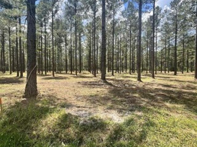 Land for sale in Conway Land for sale in Conway