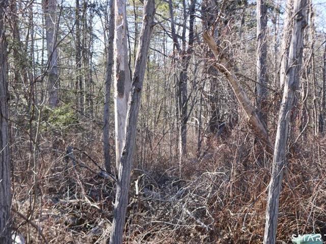 Land for sale in Goshen, Connecticut