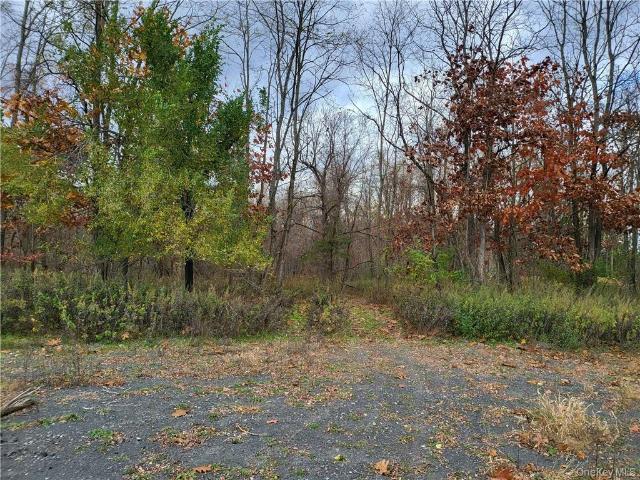 Land for sale in Cottekill, New York