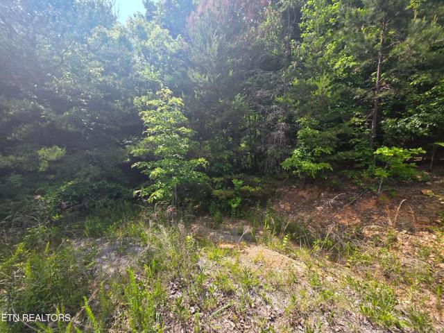 Land for sale in Tennessee