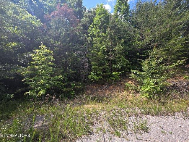 Land for sale in Tennessee