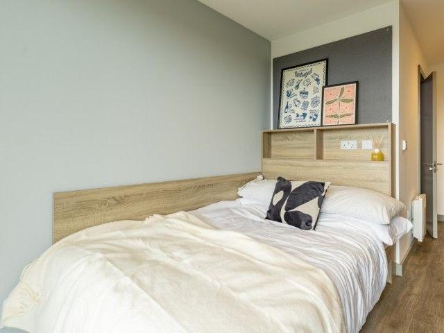 Room to rent in The Lough, Clogheen