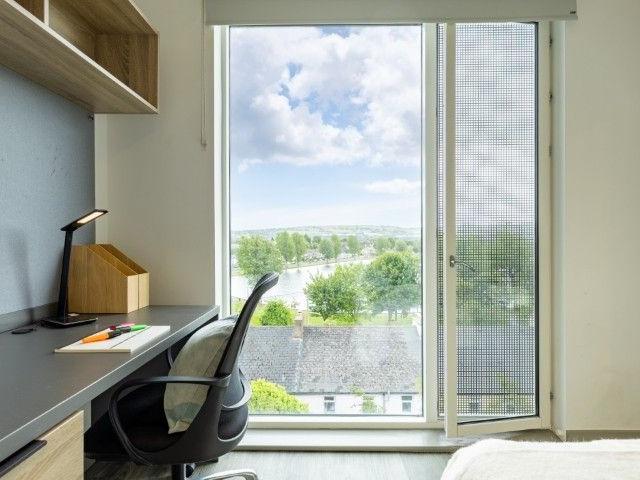 Room to rent in The Lough, Clogheen