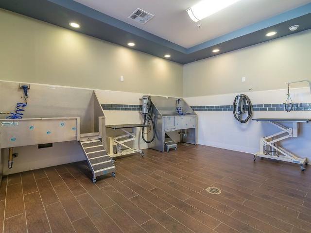 Apartment for rent in Canoga Park, California