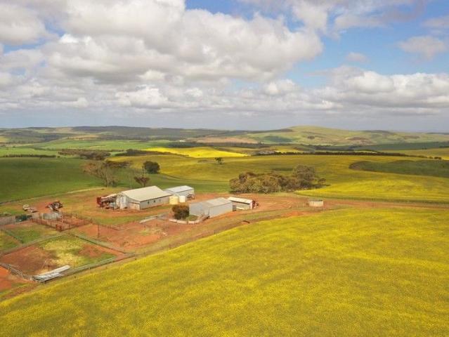 Cottage for sale in South Australia