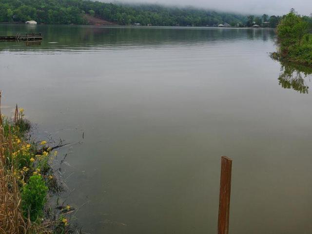 Land for sale in Ashville, Alabama