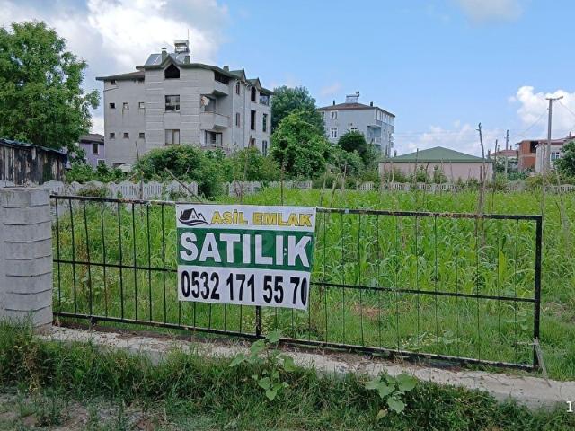 Terme, Samsun içerisinde satılık mülk