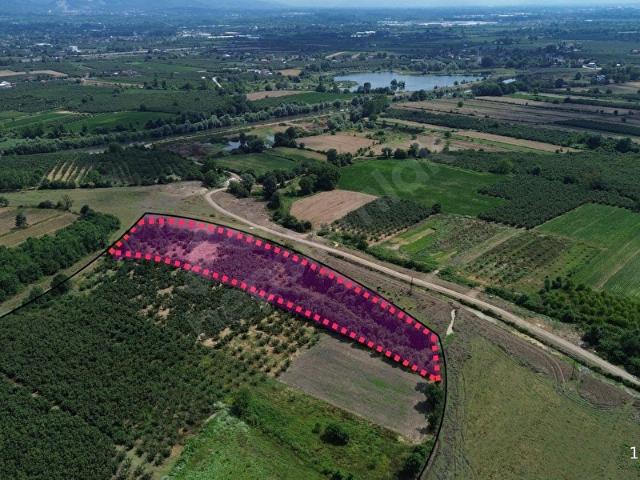 Gümüşova, Düzce içerisinde satılık Arsa