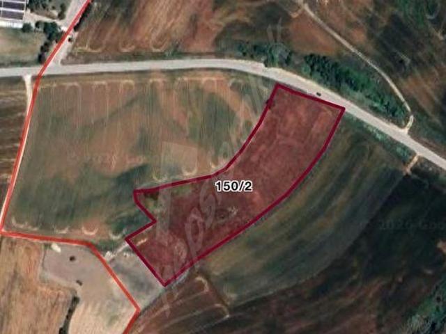 Saray, Tekirdağ içerisinde satılık Arsa