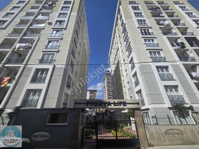 Pendik, İstanbul içerisinde satılık mülk