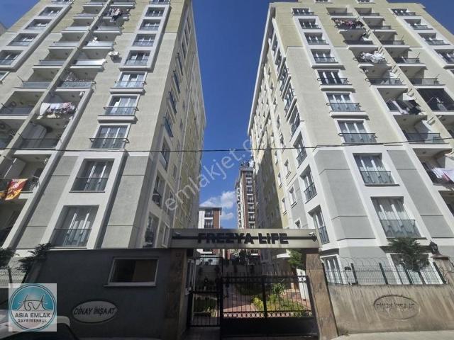 Fevzi Çakmak Mahallesi, Pendik içerisinde kiralık mülk