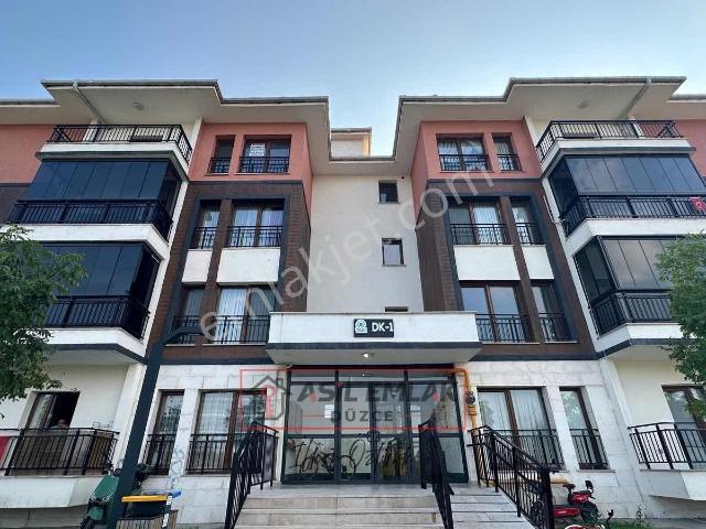 Paşaormanı, Düzce Merkez içerisinde kiralık mülk
