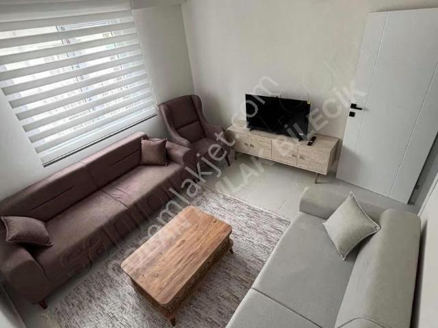 Bilecik Merkez, Bilecik içerisinde kiralık mülk