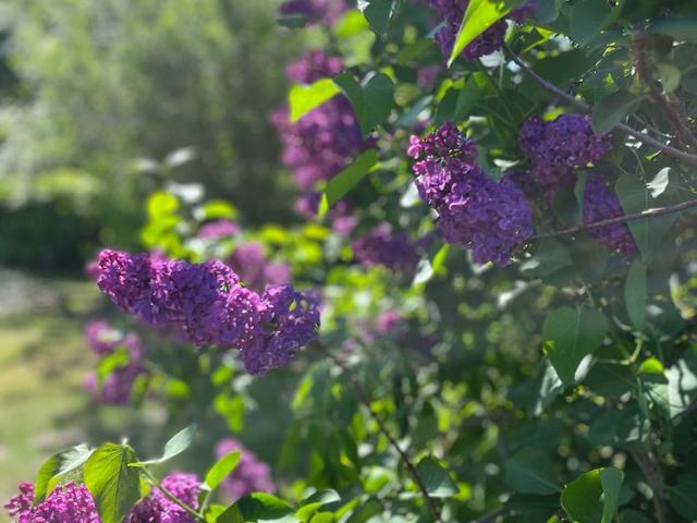 Hus hyra i Vretstorp, Örebro