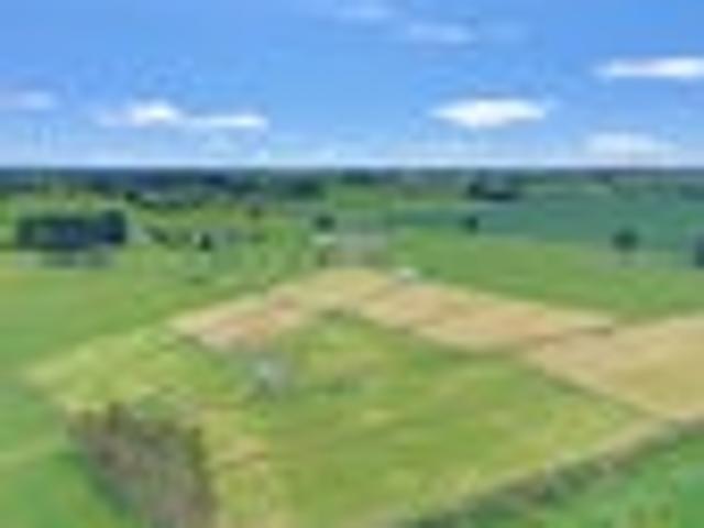 Land for sale in Waimate, Waimate District