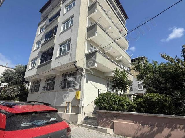 Canik, Samsun içerisinde kiralık mülk