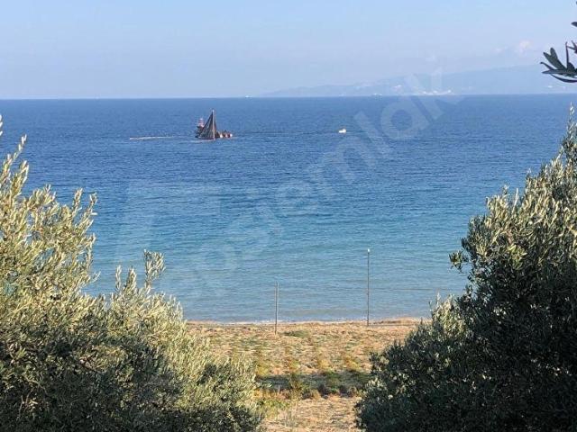 Gaziköy Mahallesi, Şarköy içerisinde satılık mülk
