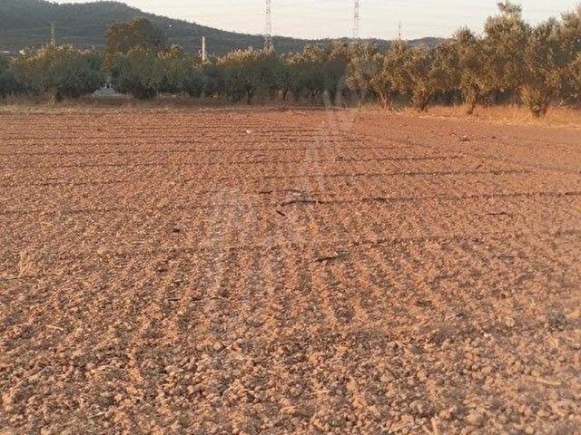 Torbali, İzmir içerisinde satılık Arsa
