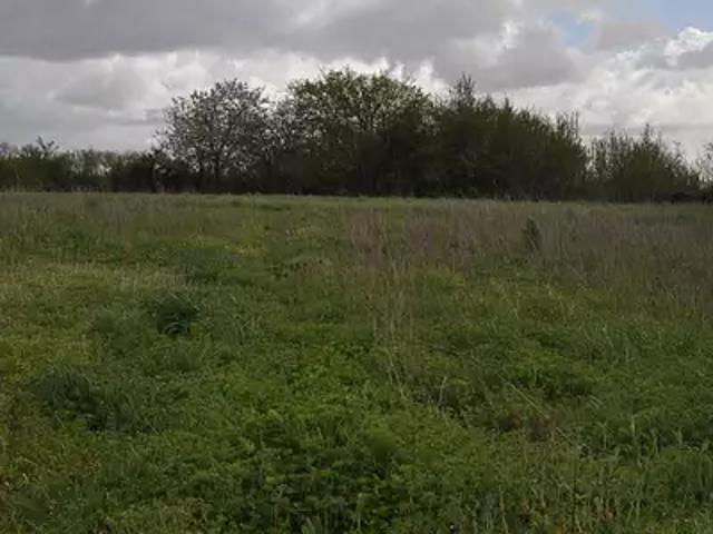 Terrain vente à Saint-Jean-d'Angély, Asnières-la-giraud