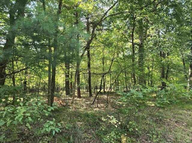 Land for sale in Hancock, Wisconsin