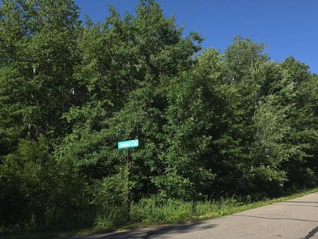 Land for sale in Morrison, Minnesota
