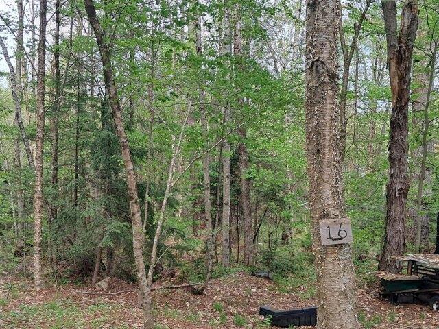 Land for sale in New Hampshire