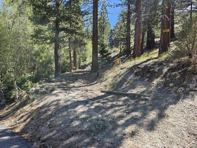 Land for sale in June Lake, California