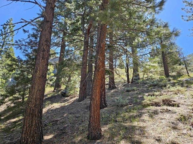 Land for sale in June Lake, California