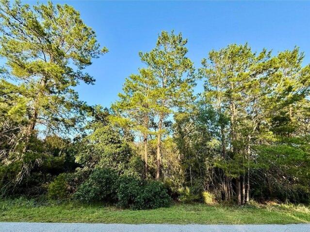 Land for sale in Eustis Land for sale in Eustis